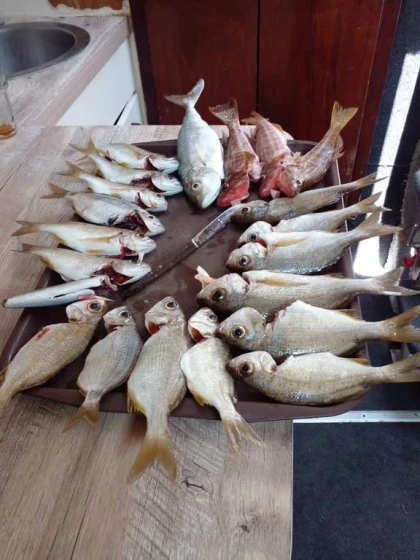 4 Heures de Bateau : Pêche, BBQ, Baignade - Tourisme Agadir Souss-Massa