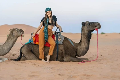 Dromadaire & Thé Marocain – Tamri - Tourisme Agadir Souss-Massa