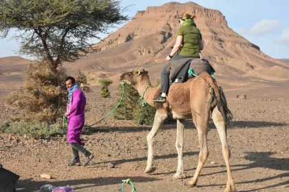 Desert Expedition: Camel-Back Trek to Erg Chegaga & Lake Iriki – 8 Days - Tourisme Agadir Souss-Massa