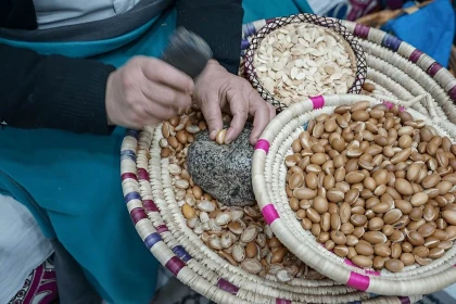 Expérience des chèvres d'Agadir - Tourisme Agadir Souss-Massa