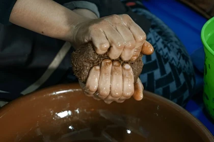 Expérience des chèvres d'Agadir - Tourisme Agadir Souss-Massa