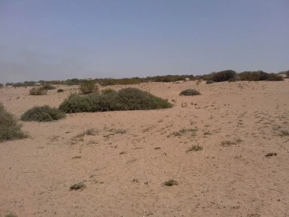 Souss-Massa National Park - Tourisme Agadir Souss-Massa