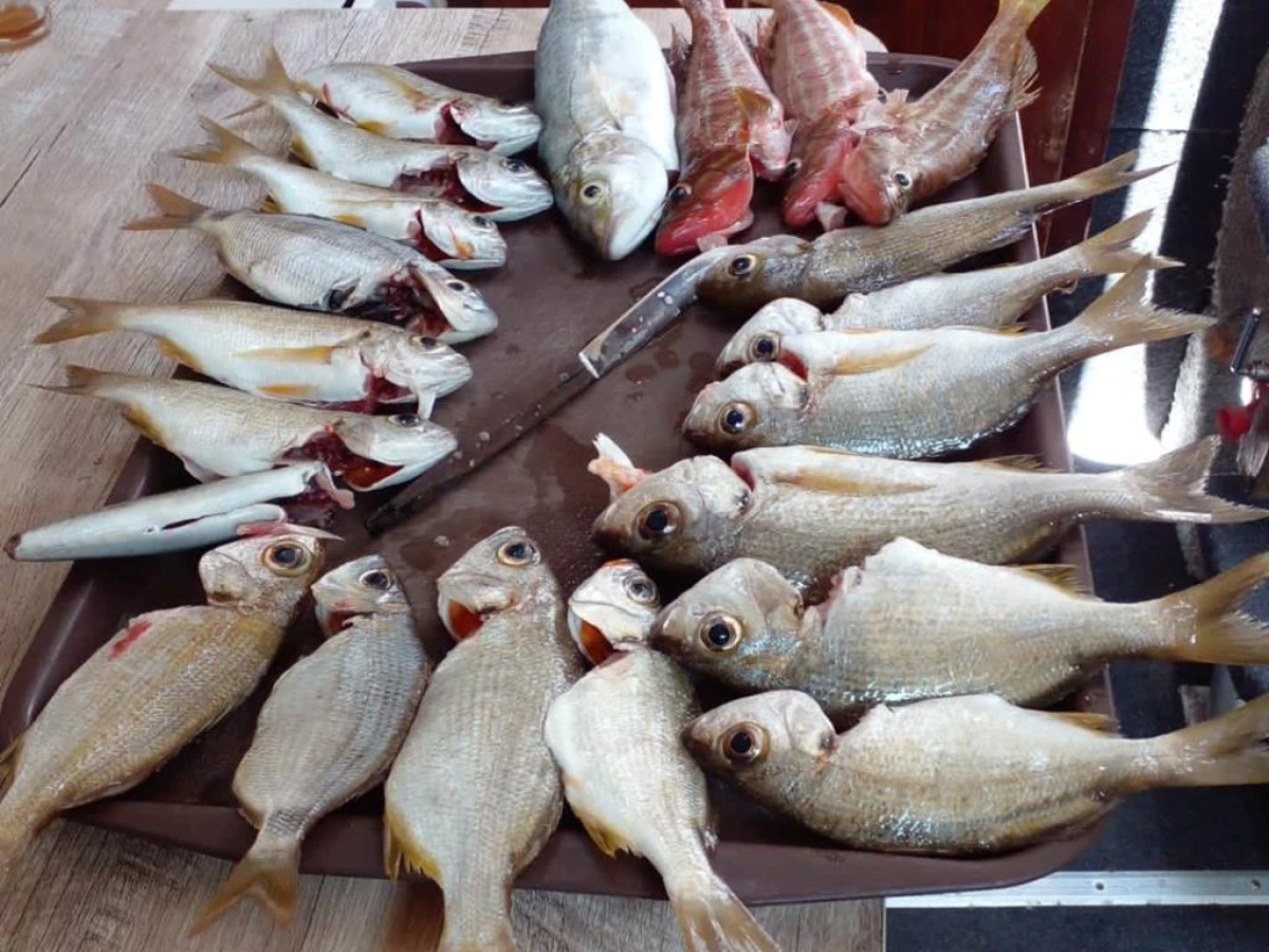 4 Heures de Bateau : Pêche, BBQ, Baignade - Tourisme Agadir Souss-Massa