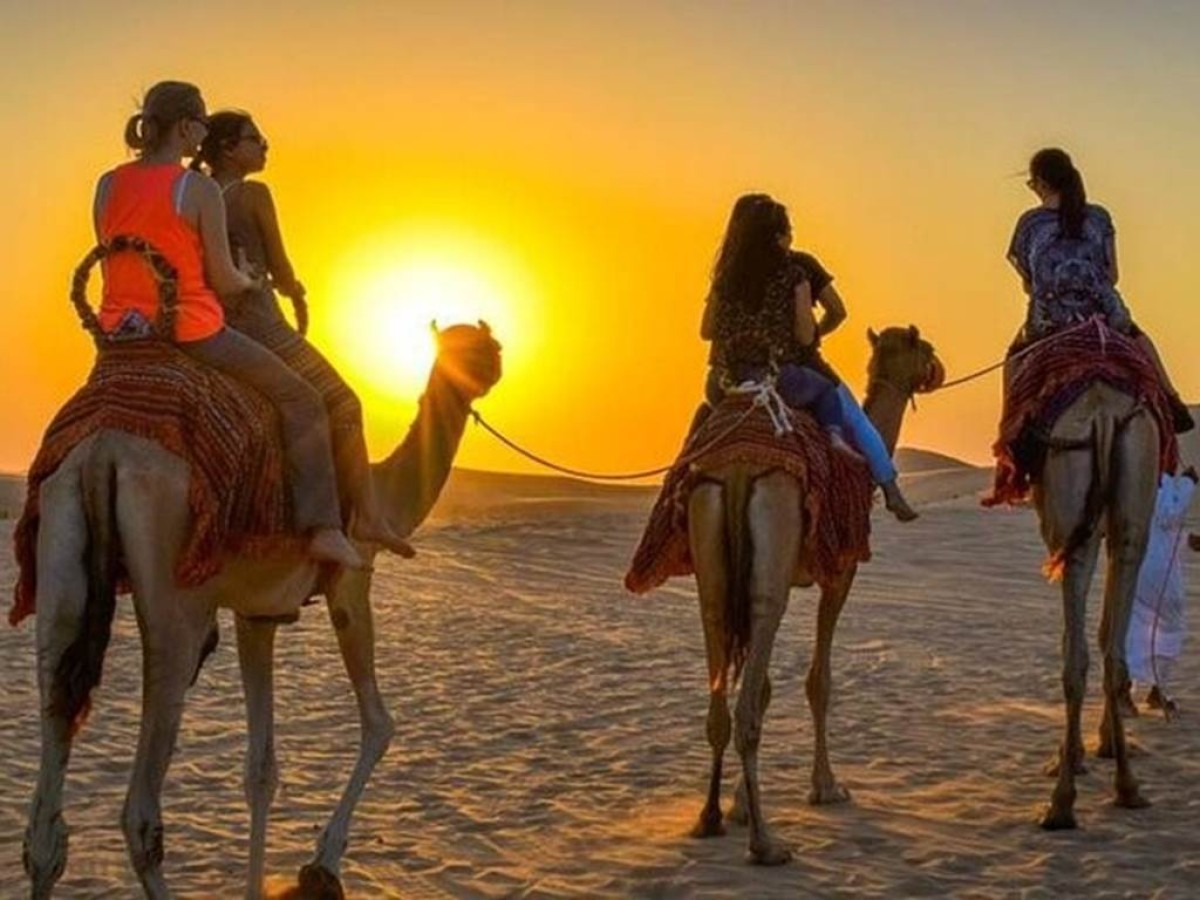 Camel Barbecue - Coucher de soleil + Diner - Tourisme Agadir Souss-Massa