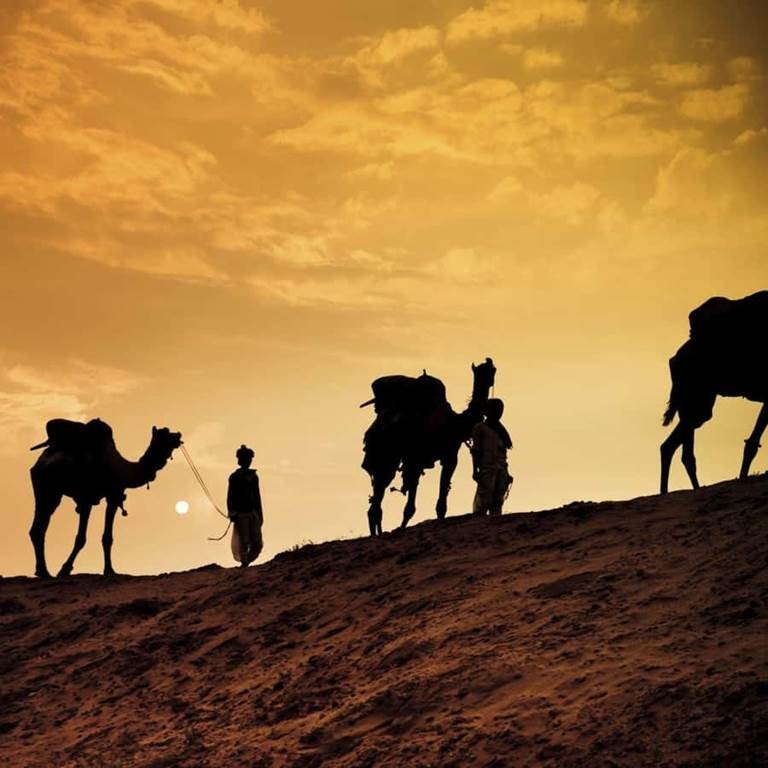 Camel Barbecue - Coucher de soleil + Diner - Tourisme Agadir Souss-Massa