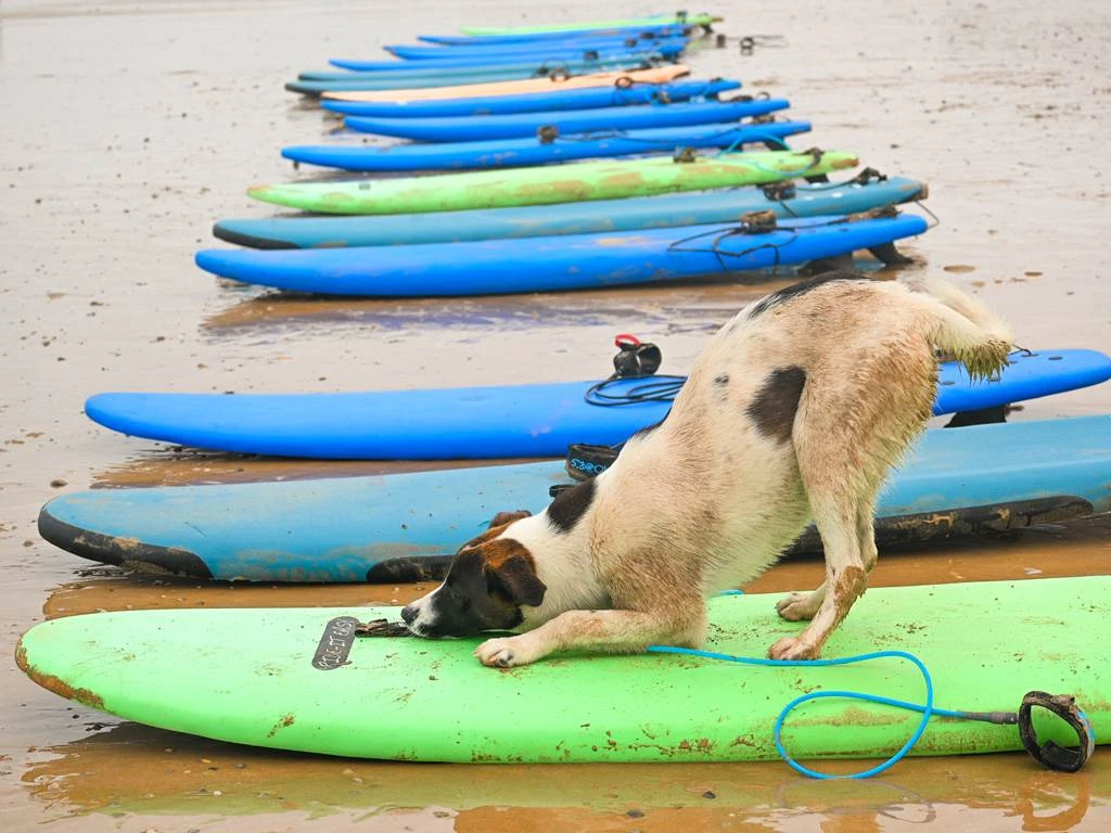 Surf Lesson - Tourisme Agadir Souss-Massa