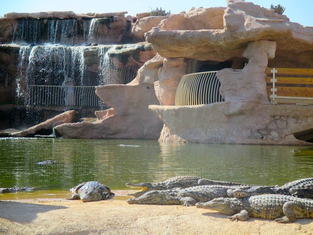 Crocoparc et jardin botanique - Tourisme Agadir Souss-Massa