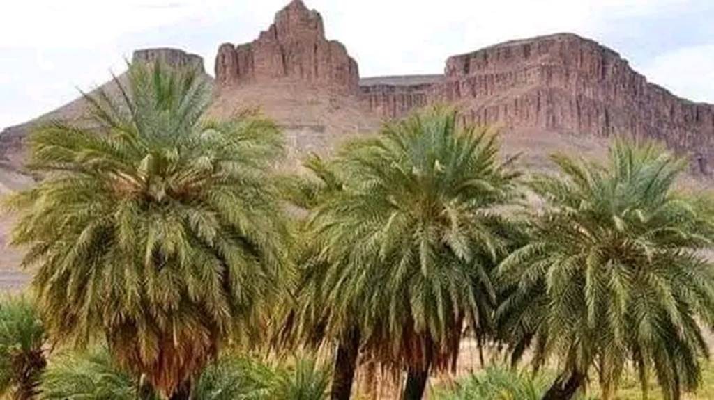 From Foum Zguid to the Erg El Mahzil desert in bivouac 2 days / 1 night - Tourisme Agadir Souss-Massa