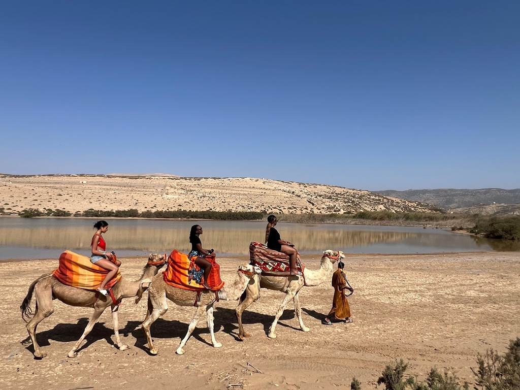 Dromadaire & Thé Marocain – Tamri - Tourisme Agadir Souss-Massa