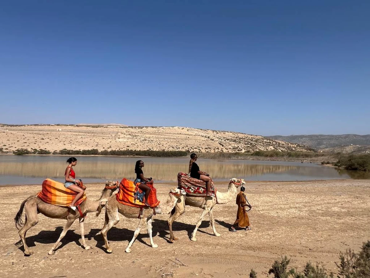 Dromadaire & Thé Marocain – Tamri - Tourisme Agadir Souss-Massa