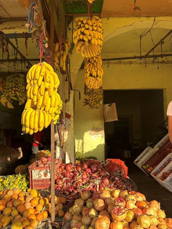 Tamri Dunes Excursions - Tourisme Agadir Souss-Massa