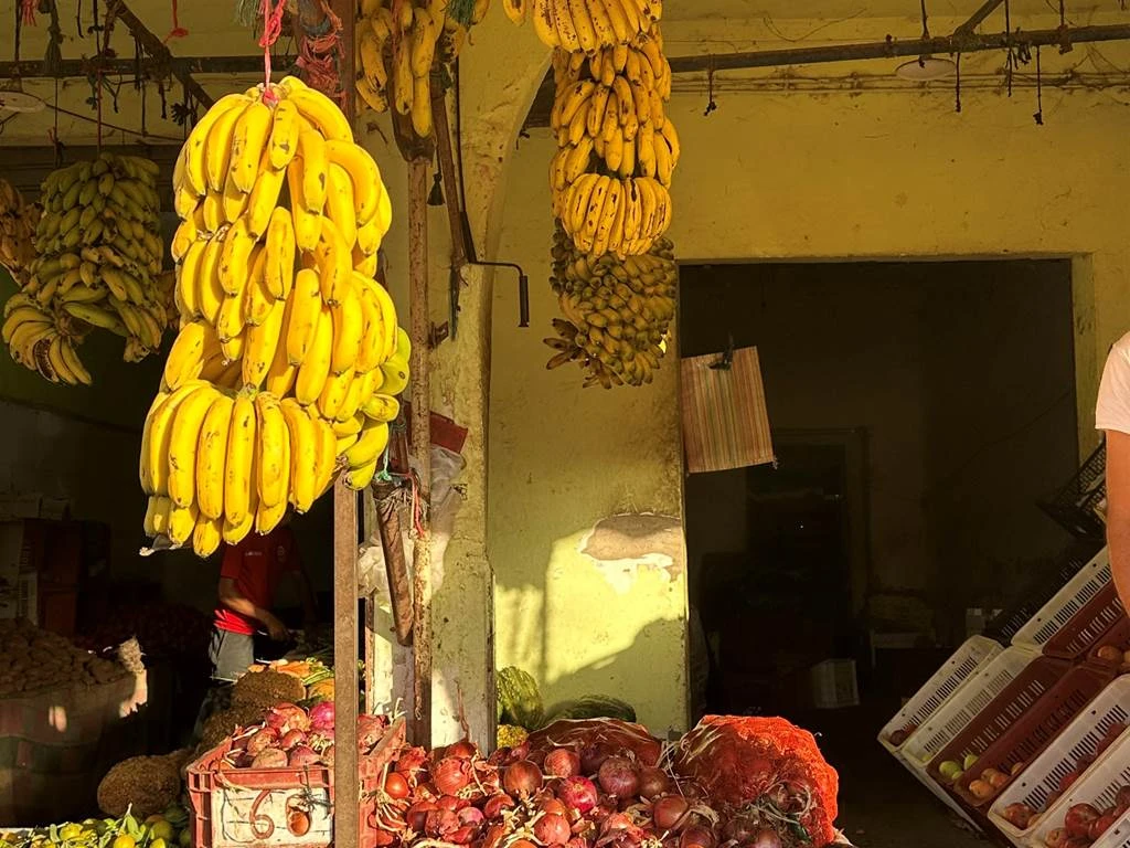 Tamri Dunes Excursions - Tourisme Agadir Souss-Massa