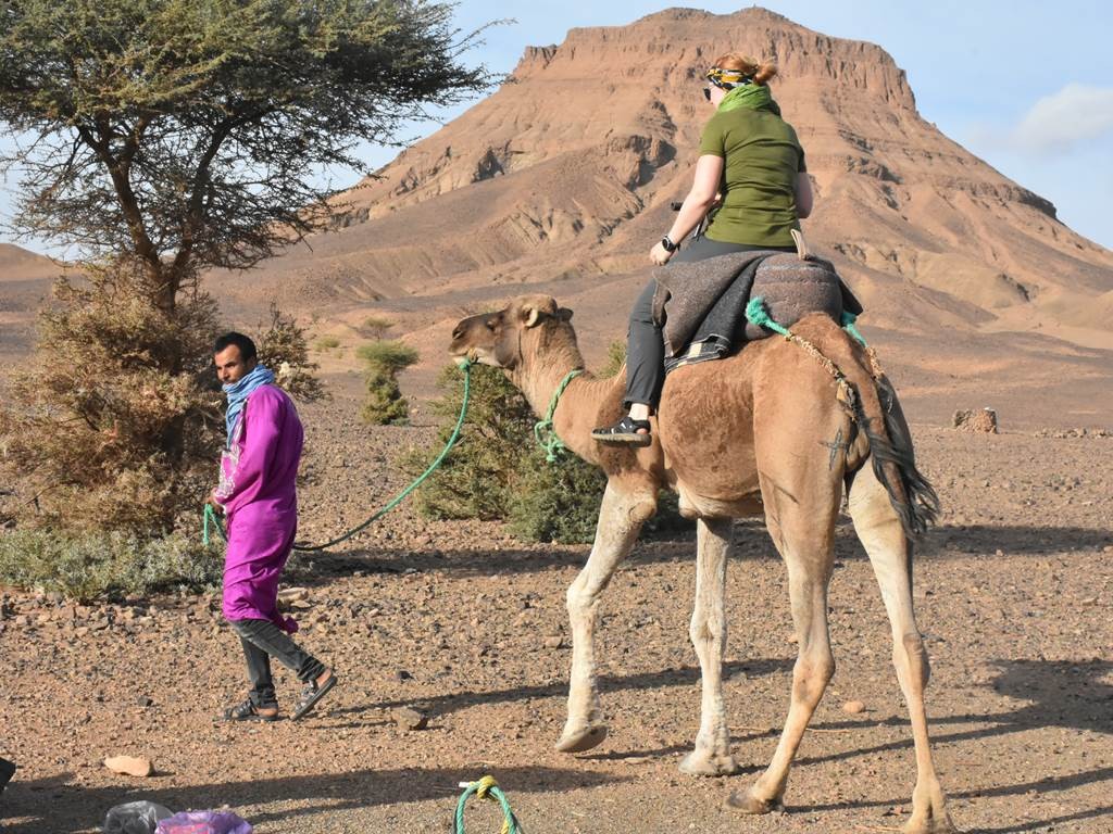 Desert Expedition: Camel-Back Trek to Erg Chegaga & Lake Iriki – 8 Days - Tourisme Agadir Souss-Massa