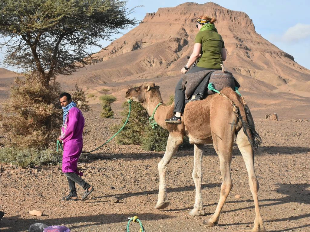 Desert Expedition: Camel-Back Trek to Erg Chegaga & Lake Iriki – 8 Days - Tourisme Agadir Souss-Massa