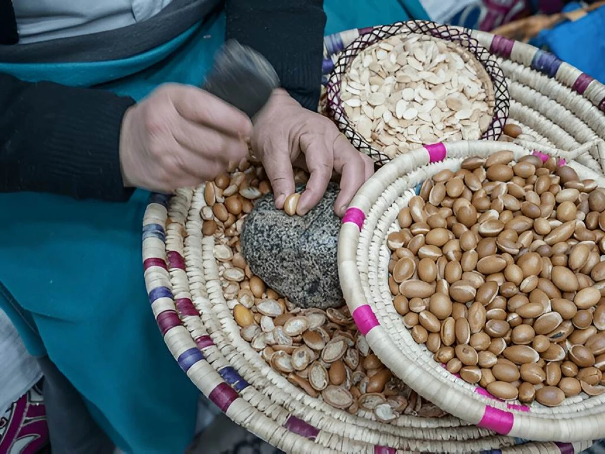 Expérience des chèvres d'Agadir - Tourisme Agadir Souss-Massa