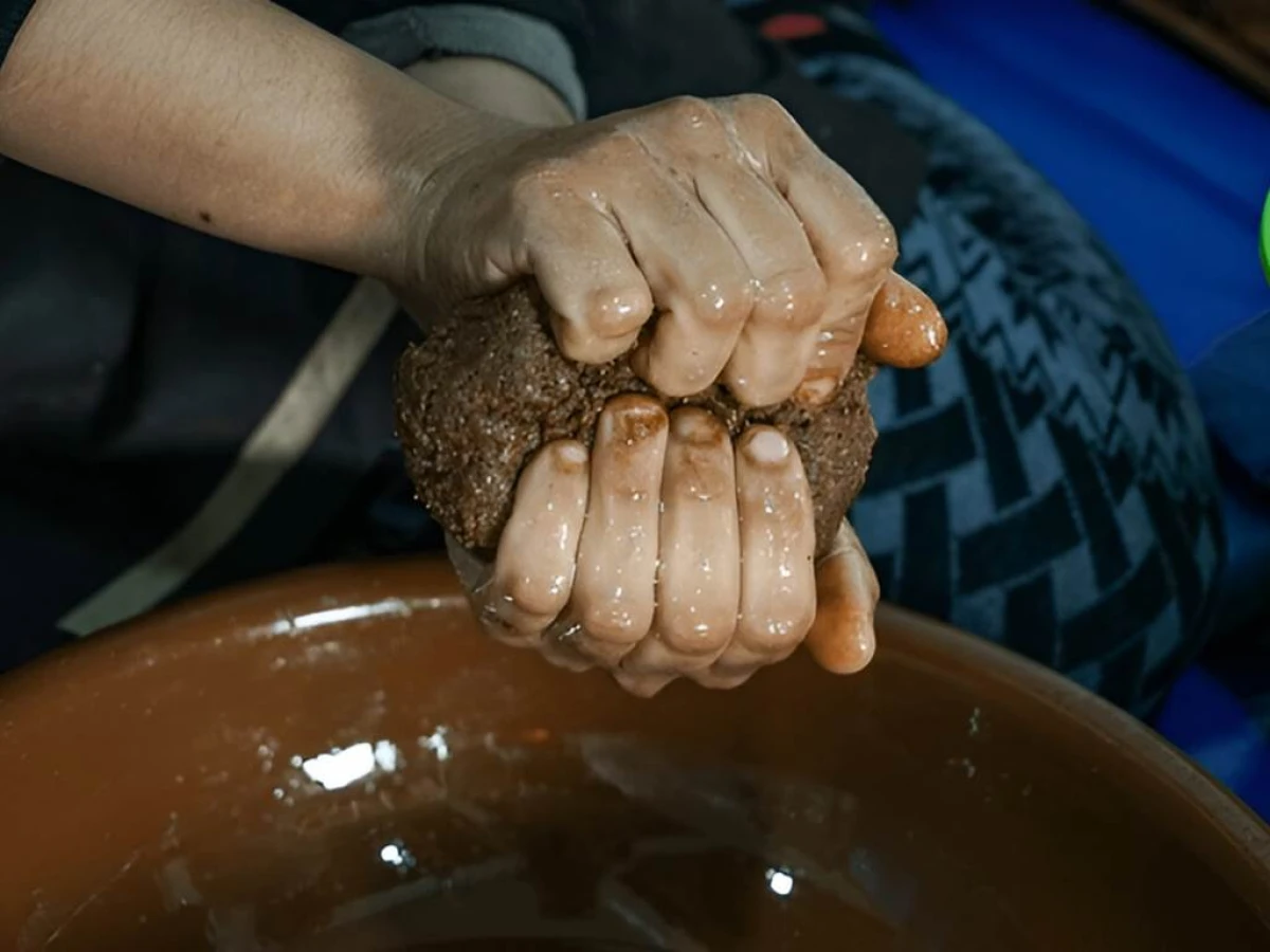 Expérience des chèvres d'Agadir - Tourisme Agadir Souss-Massa