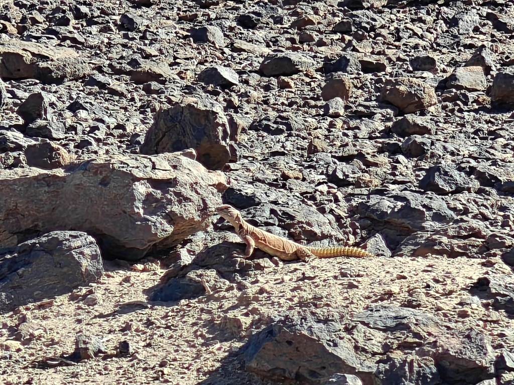  - Tourisme Agadir Souss-Massa