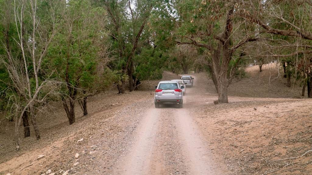 Massa Desert Safari - Tourisme Agadir Souss-Massa