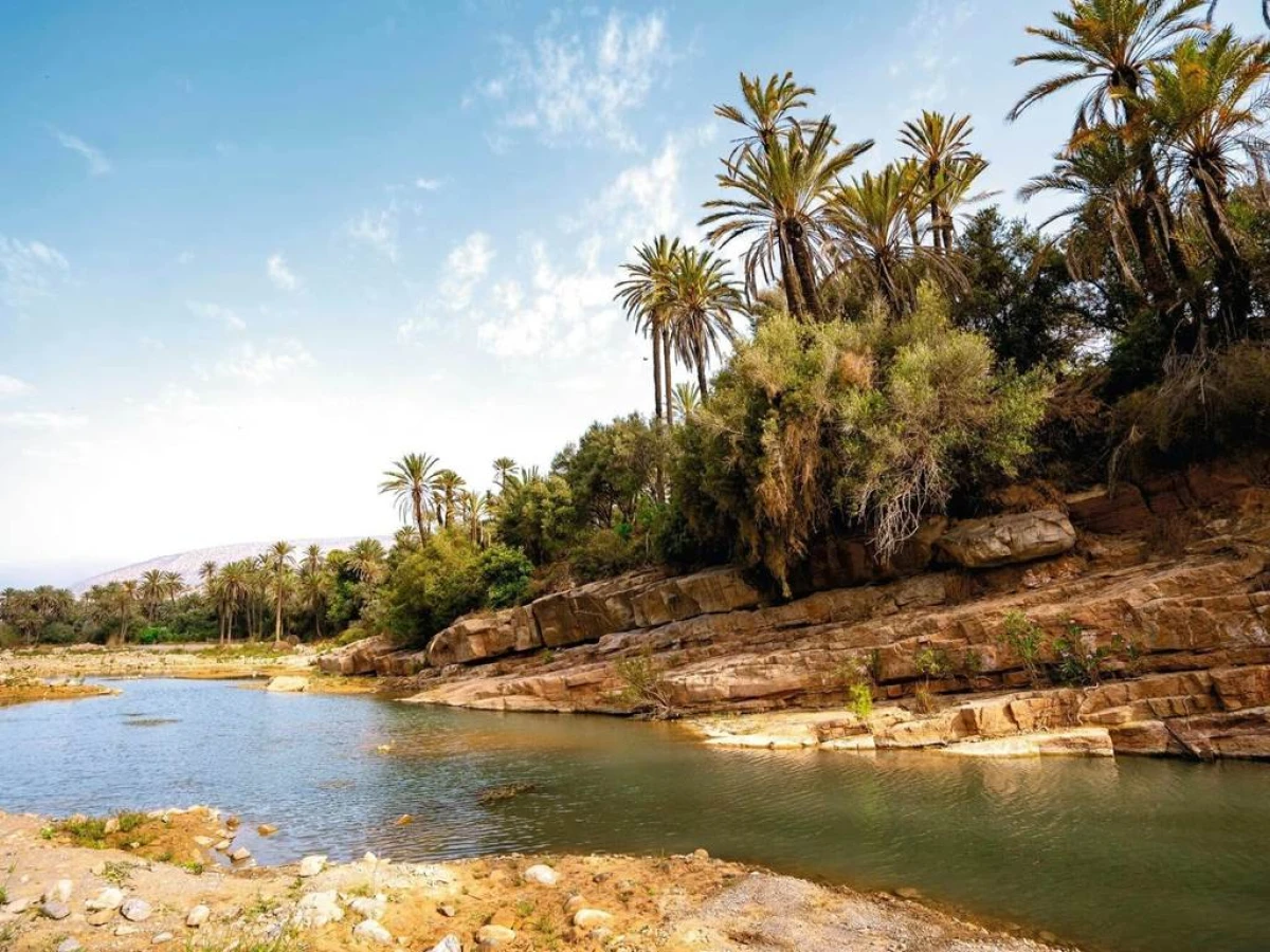 Tiout l'oasis et Taroudant - Tourisme Agadir Souss-Massa
