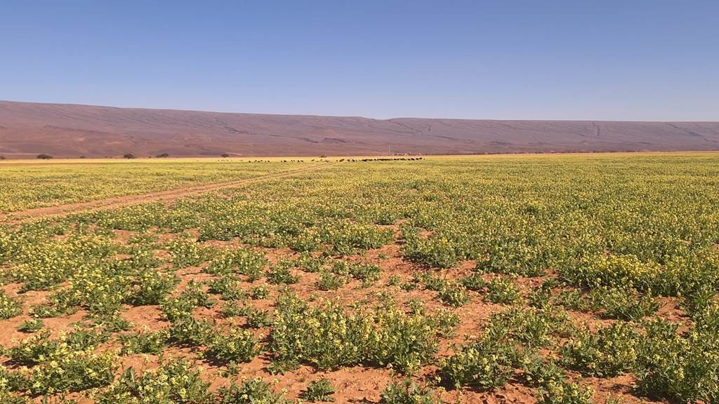  - Tourisme Agadir Souss-Massa