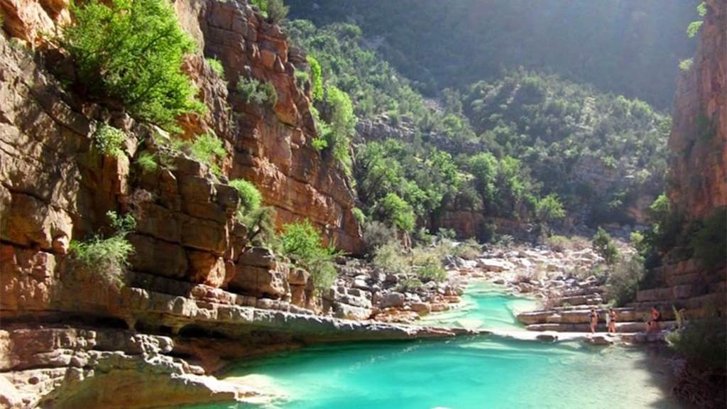 Vallée du Paradis - Demi-journée - Tourisme Agadir Souss-Massa